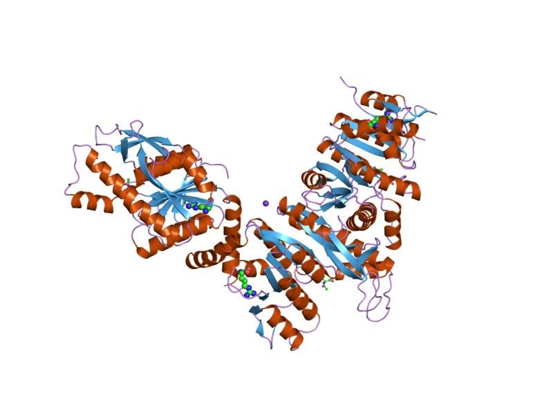 File:PDB 2bty EBI.jpg