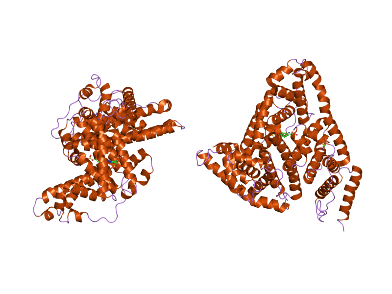 File:PDB 2bxh EBI.png