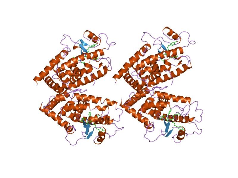 File:PDB 4prg EBI.jpg