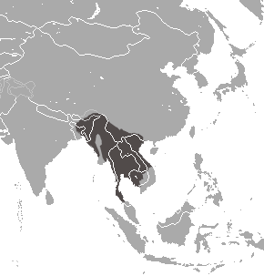 File:Bengal Slow Loris area.png