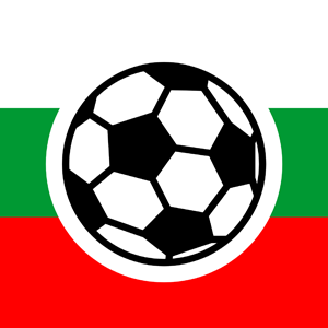 File:Bulgarian football.png