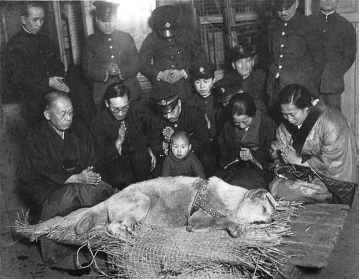 File:Death of Hachiko - Last Photo.jpg