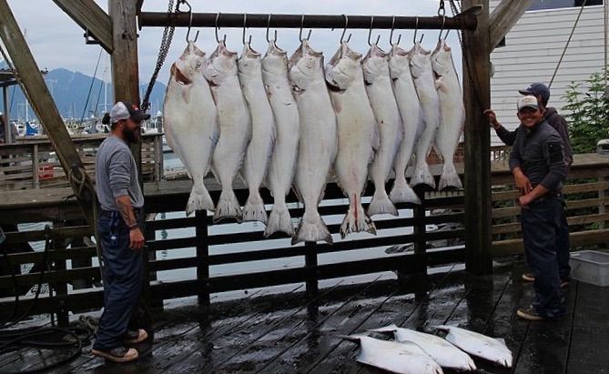 File:Fishermen with their halibut.jpg