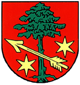 File:Klein Strehlitz Wappen.png