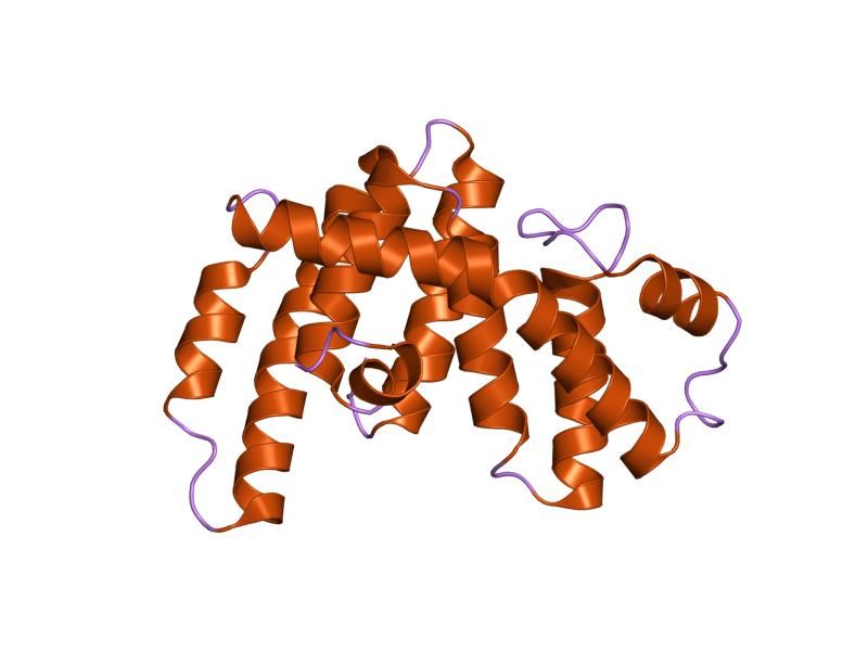 File:PDB 1iap EBI.jpg