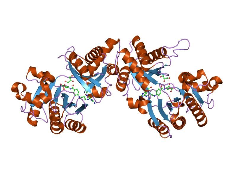 File:PDB 1qd1 EBI.jpg