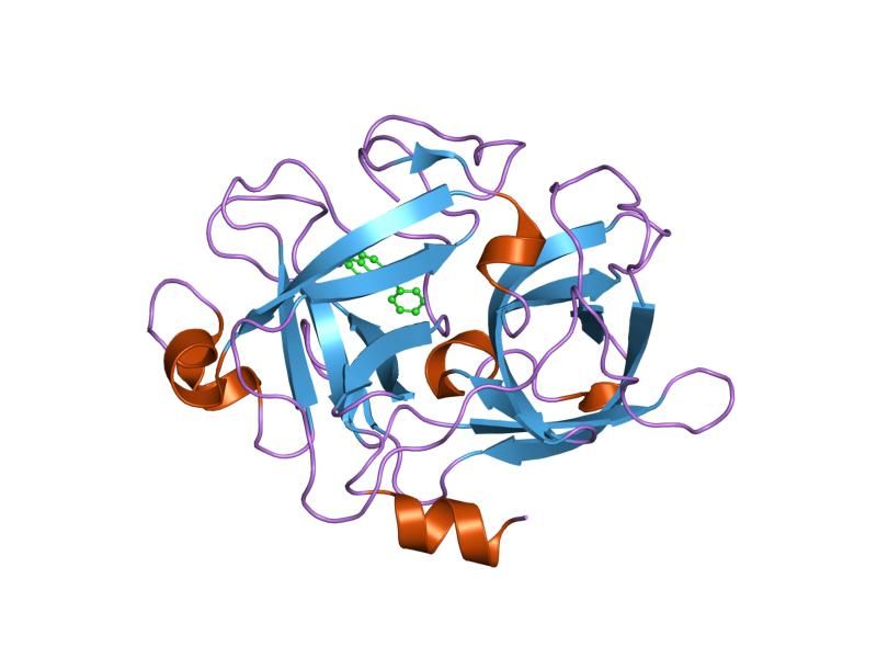 File:PDB 1u6q EBI.jpg