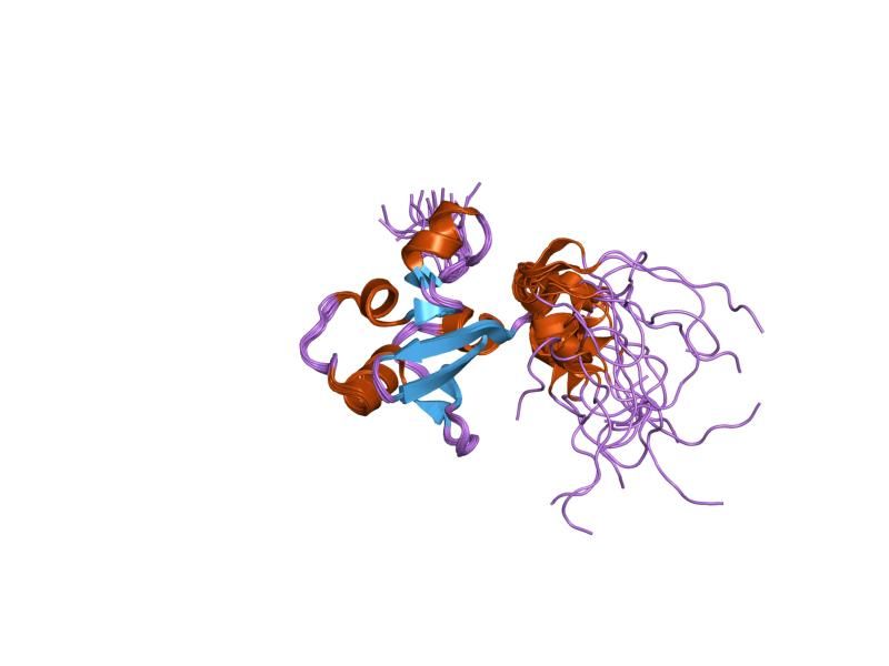 File:PDB 1ufn EBI.jpg