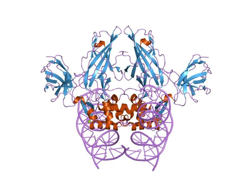 File:PDB 2as5 EBI.jpg