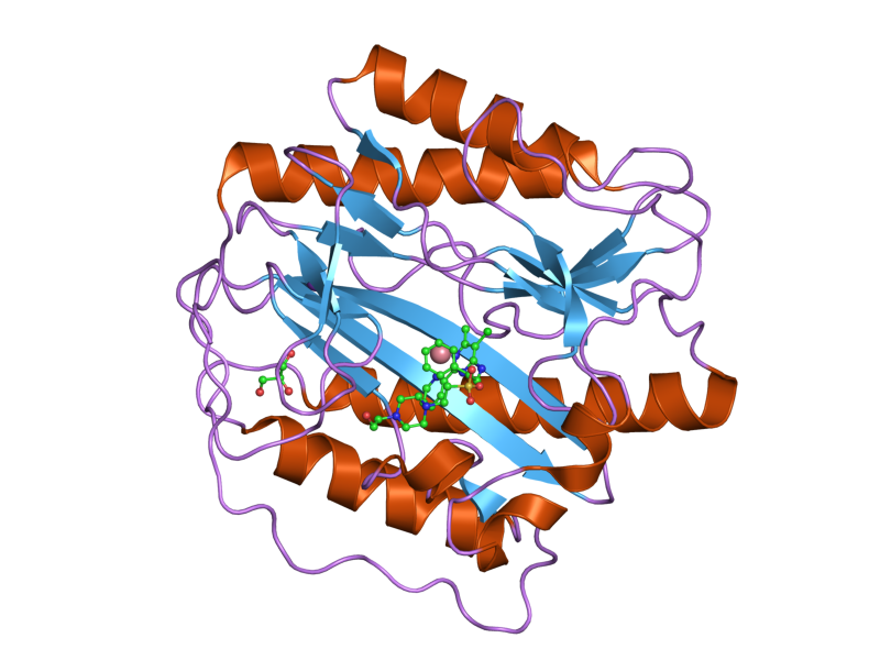 File:PDB 2g6p EBI.png