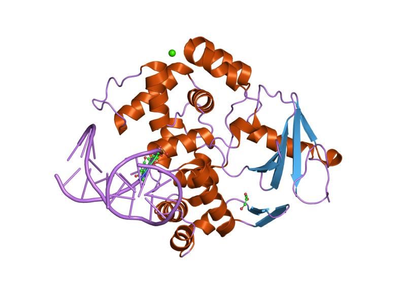 File:PDB 2i5w EBI.jpg