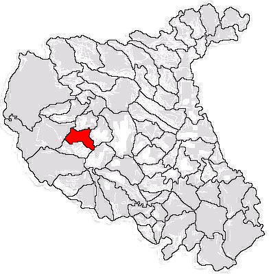 File:Paltin jud Vrancea.png