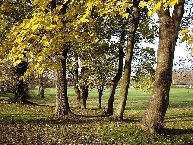 File:Penenden Heath - geograph.org.uk - 89457.jpg