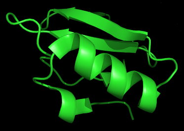 File:Protein fold.png