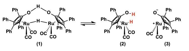 File:Shvo's catalyst.jpg