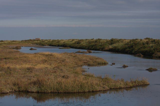 File:Titchwell saltmarsh - geograph.org.uk - 789979.jpg