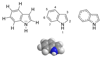 File:Indole chemical structure.png