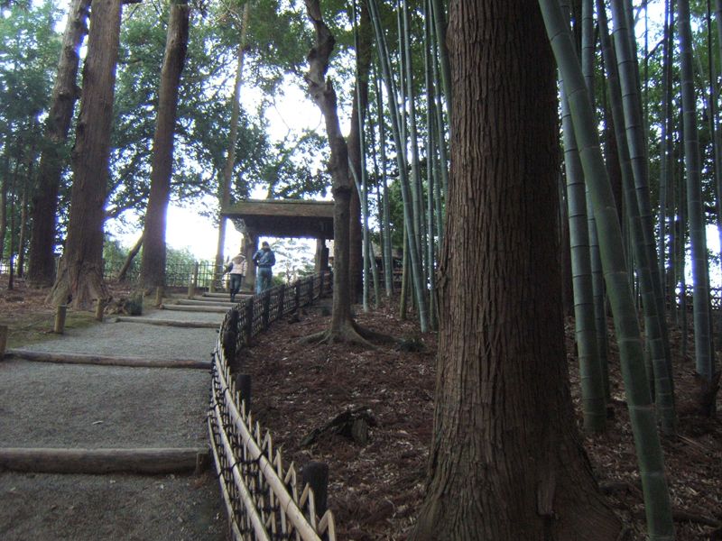 File:Kairaku-en bamboo grove and cedar woods.jpg