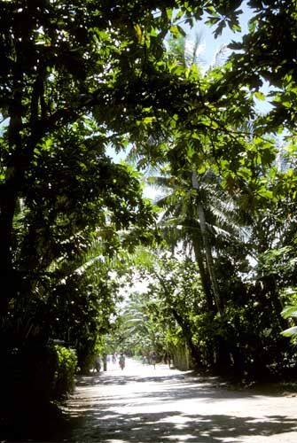 File:Main street of Funafuti.jpg