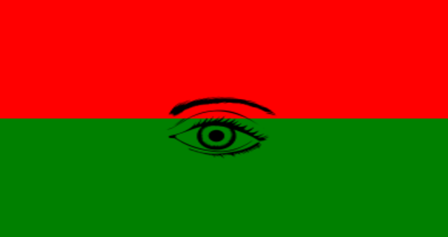 File:NSP flag.png