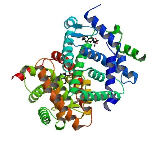 File:PBB Protein RARA image.jpg