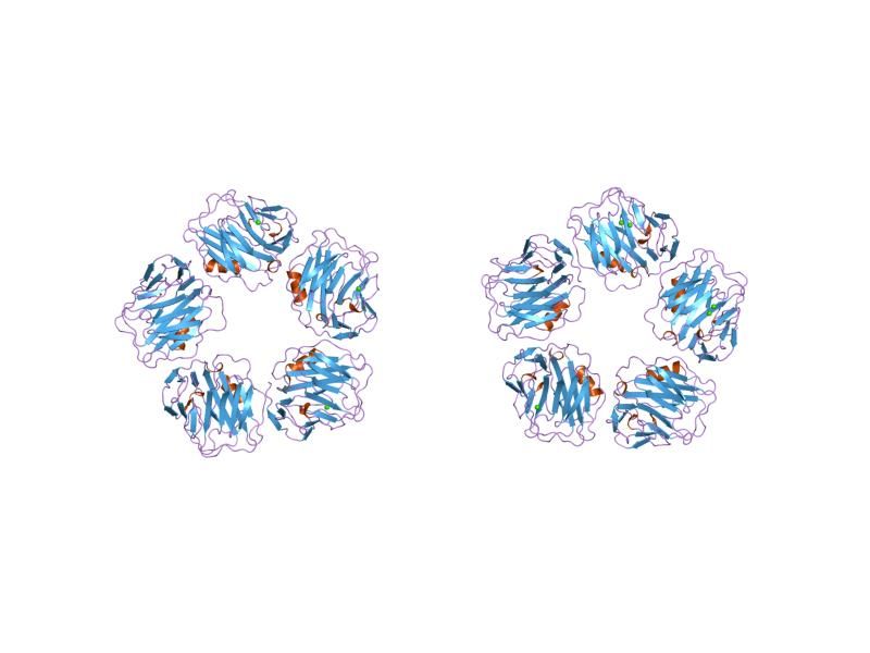 File:PDB 1gnh EBI.jpg