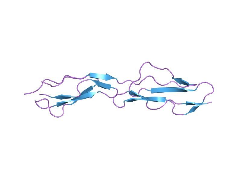 File:PDB 1h2q EBI.jpg