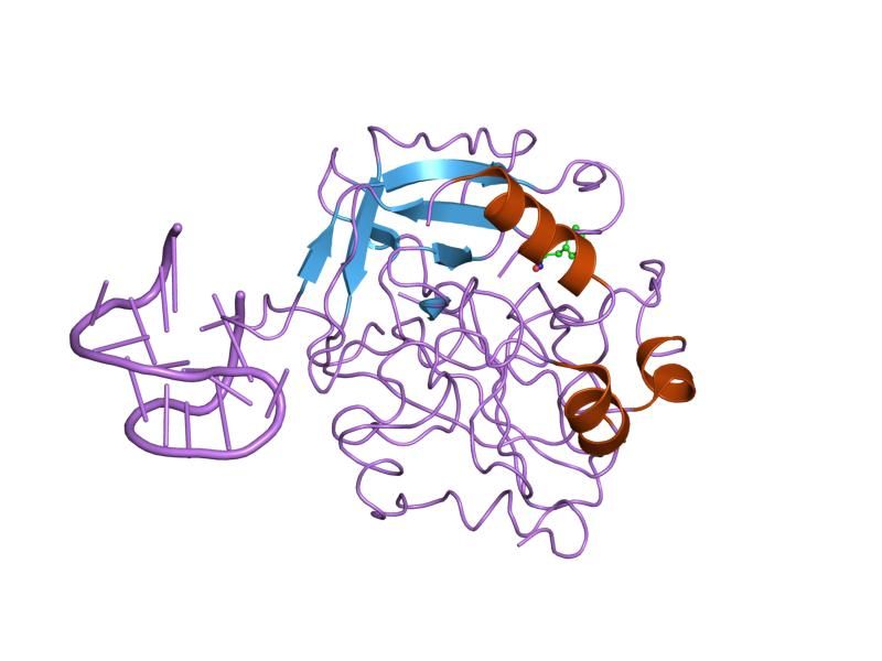 File:PDB 1hut EBI.jpg