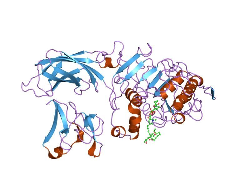 File:PDB 1lpa EBI.jpg