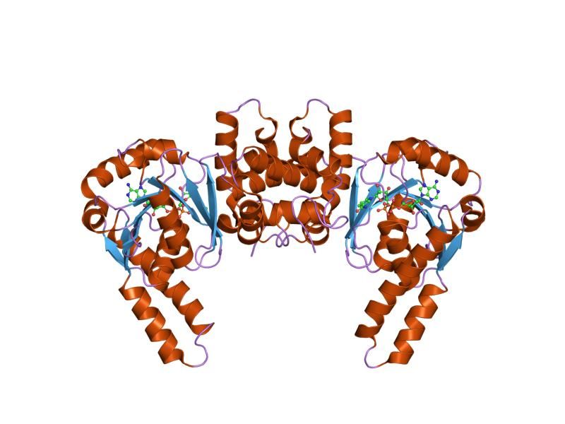 File:PDB 1lsj EBI.jpg