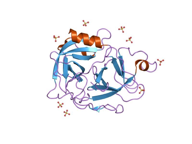 File:PDB 1rjx EBI.jpg