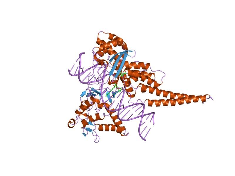 File:PDB 1t8i EBI.jpg