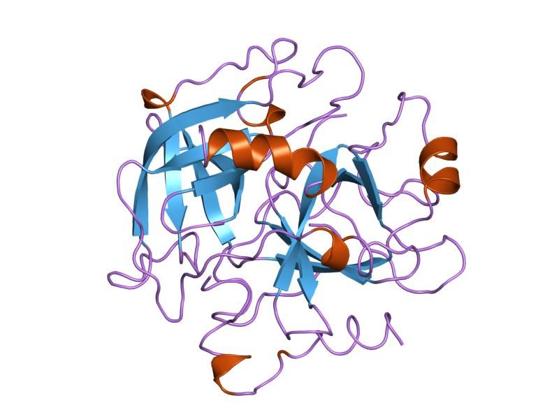 File:PDB 1thp EBI.jpg