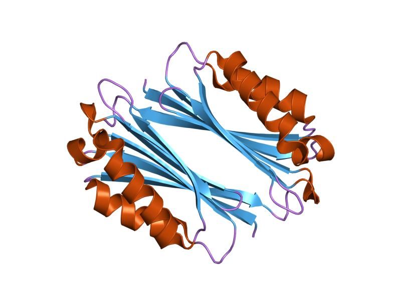 File:PDB 1tlu EBI.jpg