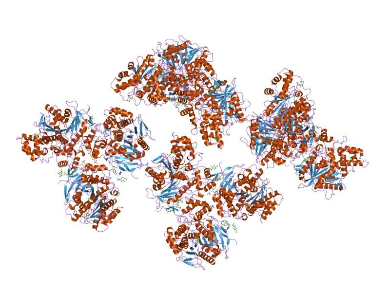 File:PDB 1yaj EBI.jpg