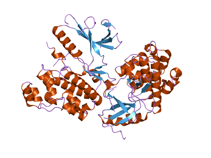 File:PDB 2i6l EBI.png