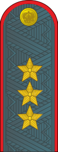 File:Russian police colonel general.png