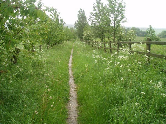 File:Bridleway, Upper Birchwood by Geoff Dunn.jpg