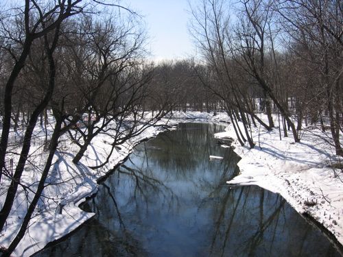 File:Bronxriver.jpg