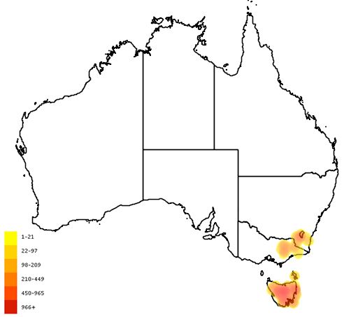 File:Distribution of Hakea lissosperma.jpg