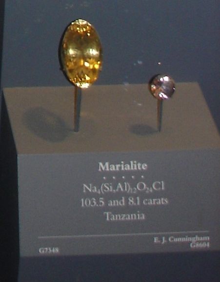 File:National Museum of Natural History Marialite.JPG