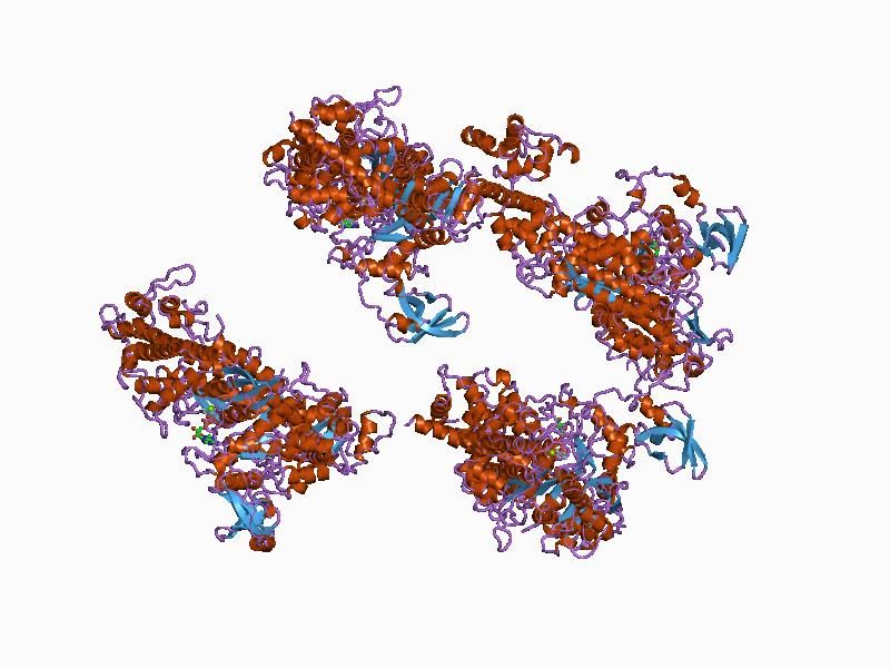 File:PDB 1br1 EBI.jpg