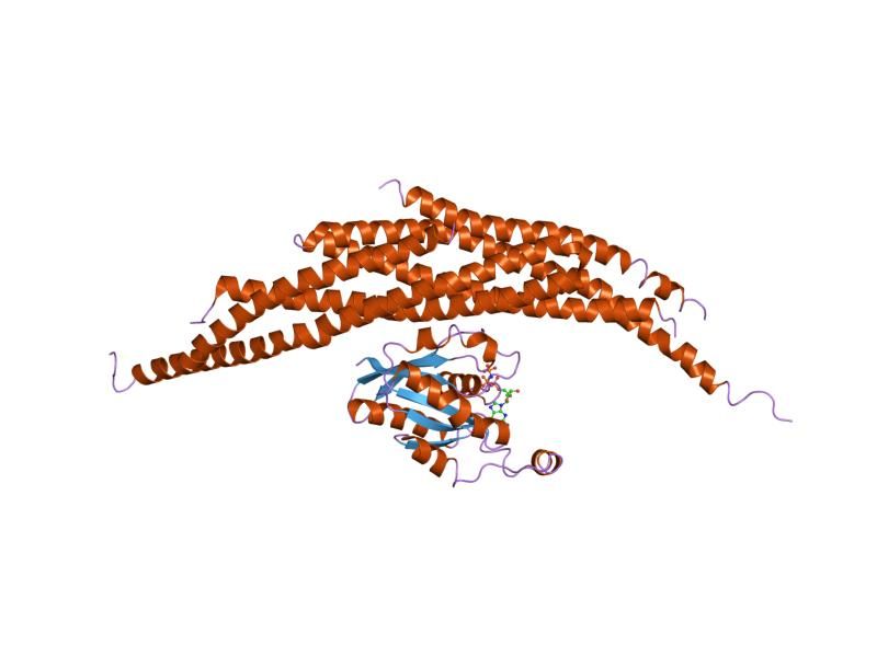 File:PDB 1i4t EBI.jpg