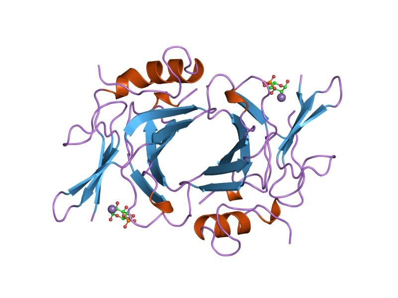 File:PDB 1m6p EBI.jpg