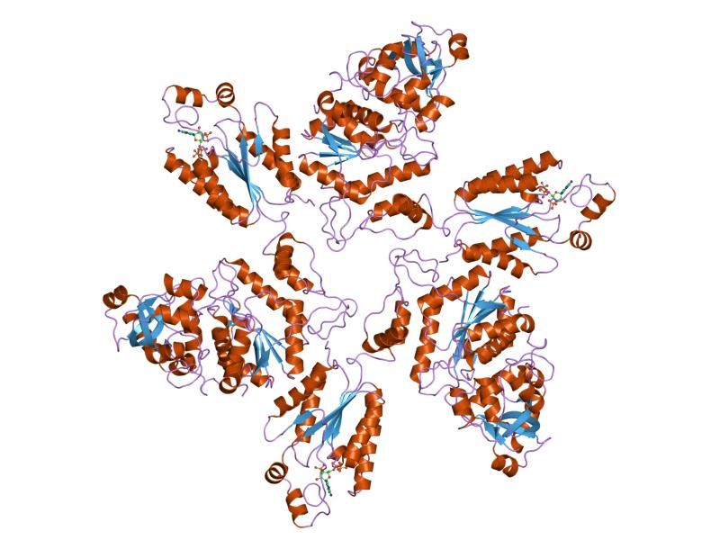 File:PDB 1m8p EBI.jpg