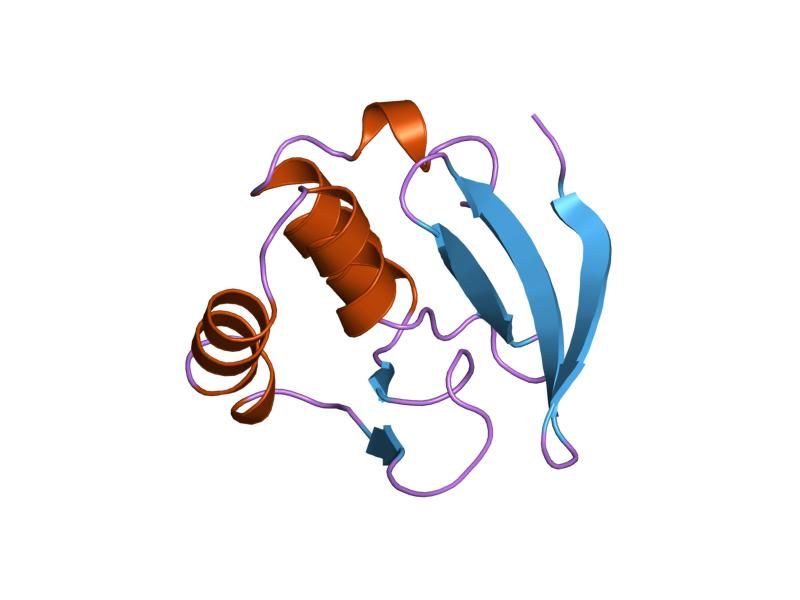 File:PDB 1mb1 EBI.jpg