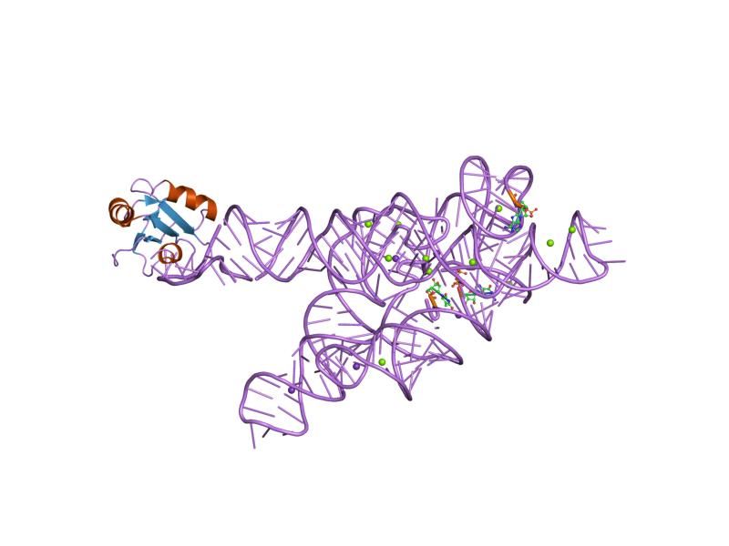 File:PDB 1u6b EBI.jpg