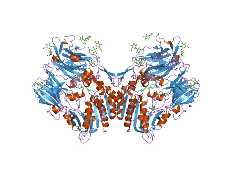 File:PDB 1x70 EBI.jpg