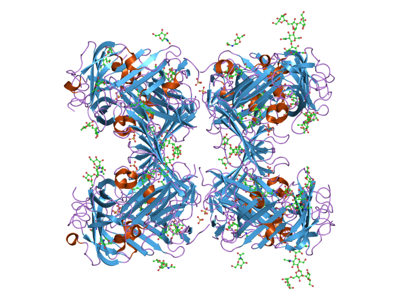 File:PDB 1ywh EBI.png