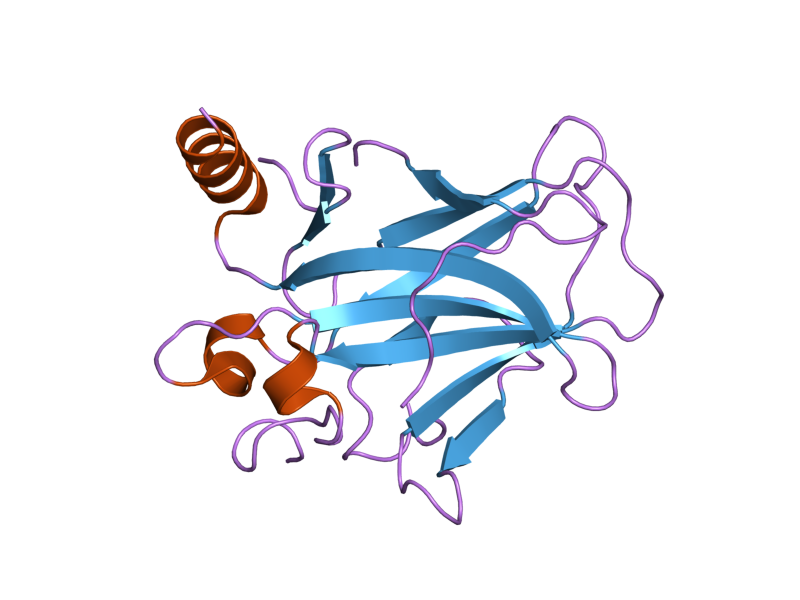 File:PDB 2bio EBI.png